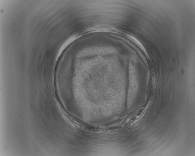 X0000073891146200609082116