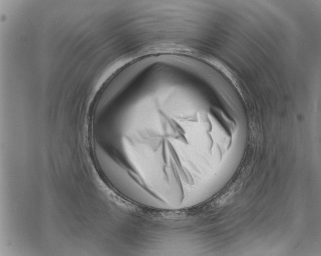 X0000073891147200609082116