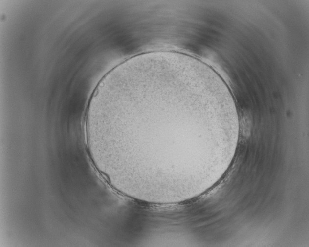 X0000073891150200609082116