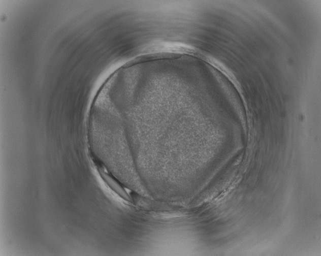 X0000073891152200609082116