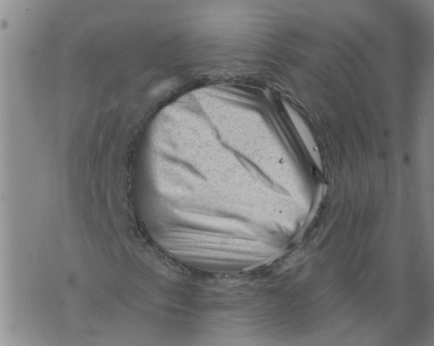 X0000073891153200609082116