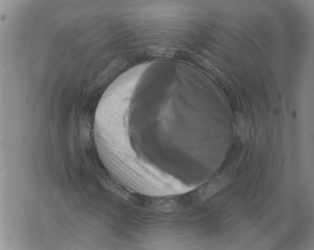 X0000073891154200609082116