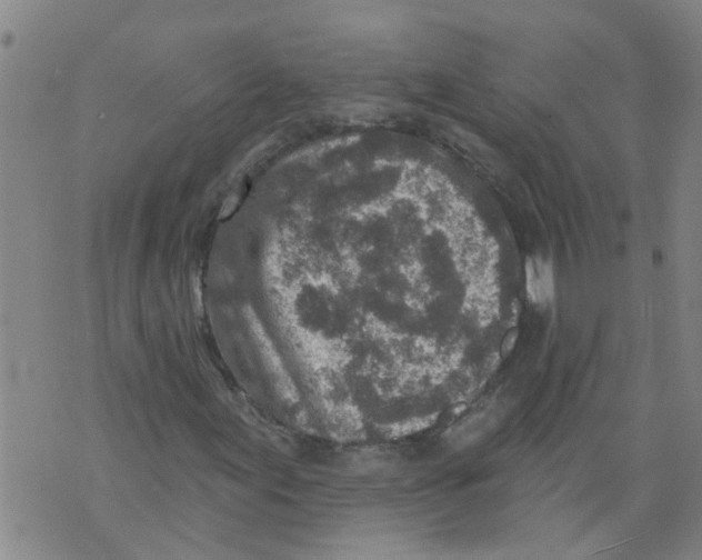 X0000073891155200609082116