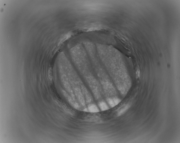 X0000073891156200609082116