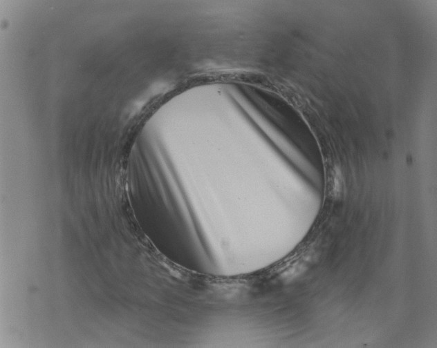 X0000073891157200609082116