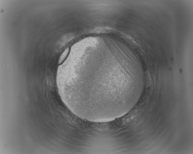 X0000073891158200609082115