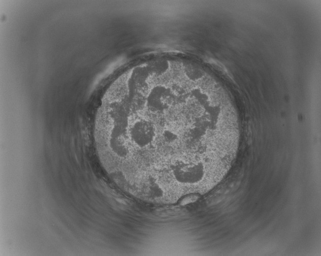 X0000073891159200609082115