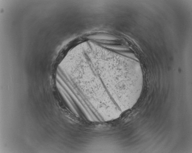 X0000073891160200609082115