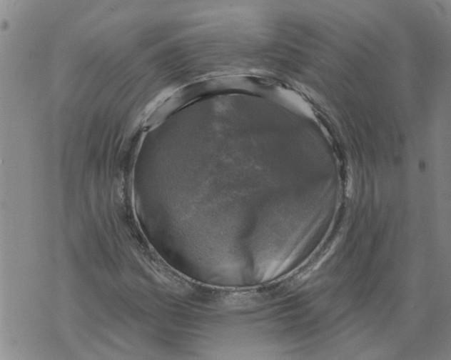 X0000073891161200609082115