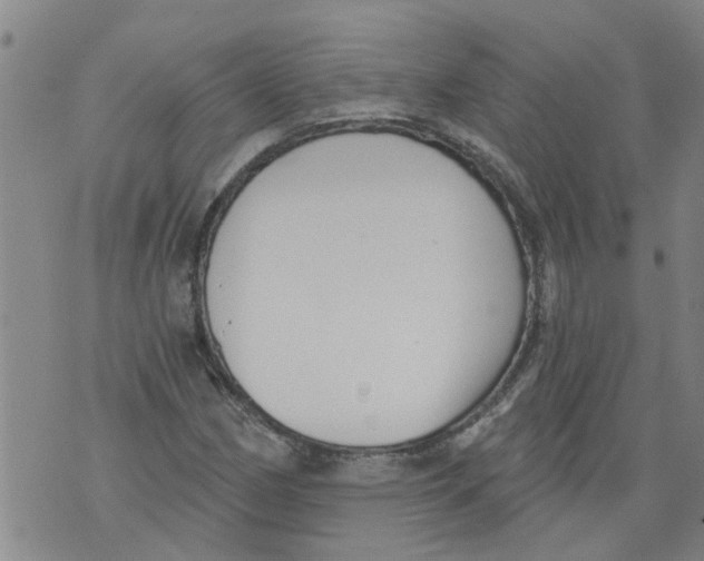 X0000073891162200609082115