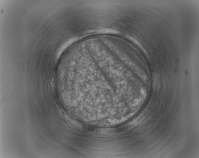 X0000073891163200609082115