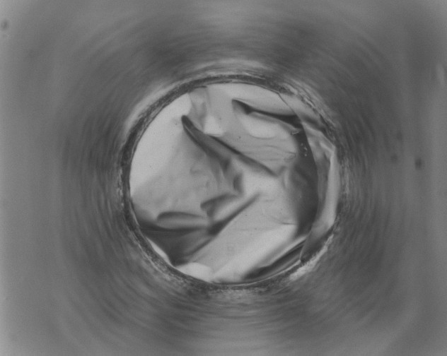 X0000073891164200609082115