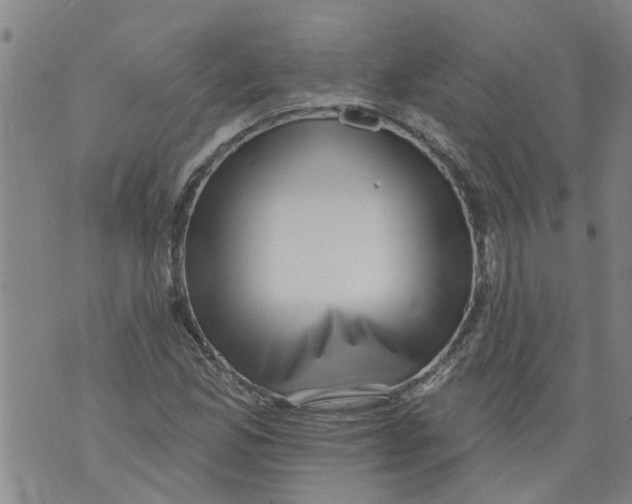 X0000073891165200609082115