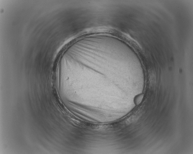 X0000073891166200609082115