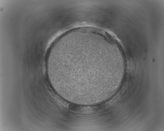 X0000073891167200609082115