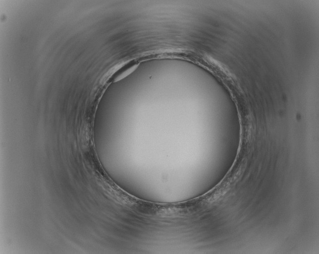 X0000073891169200609082115