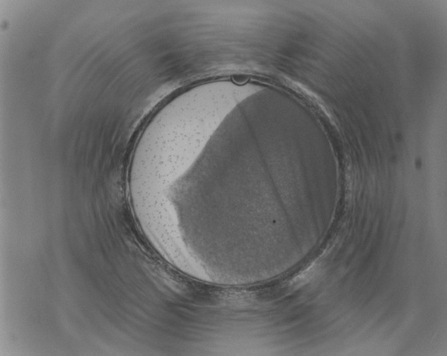 X0000073891170200609082115