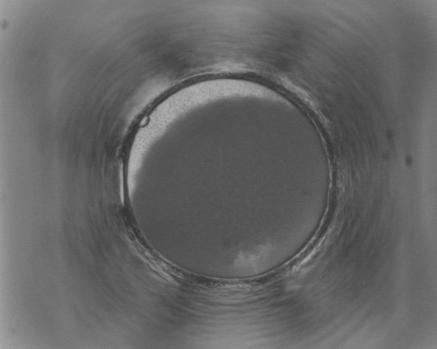 X0000073891171200609082115