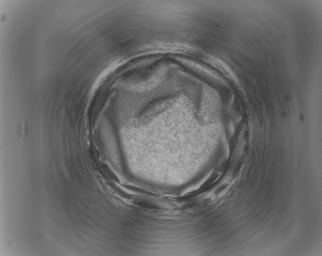 X0000073891172200609082115