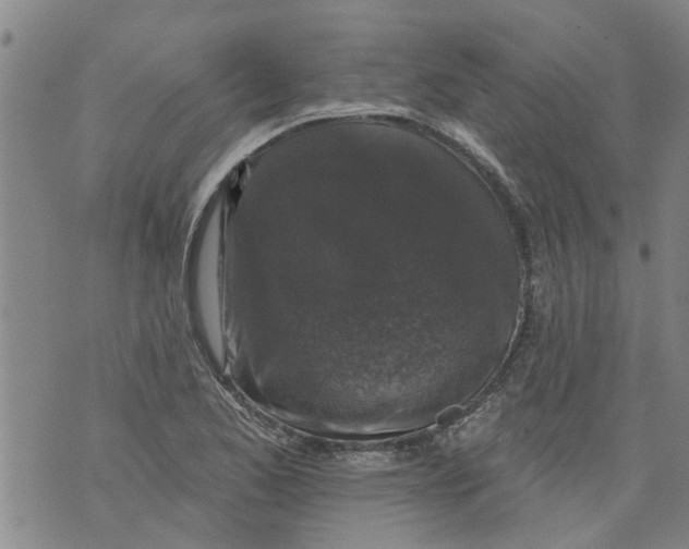 X0000073891173200609082115