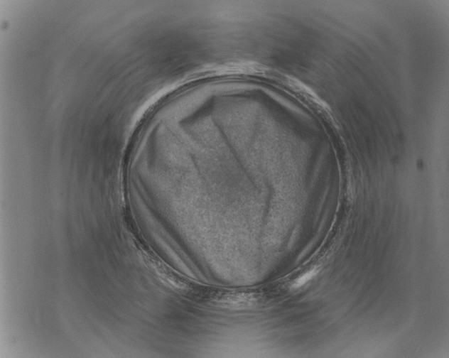 X0000073891174200609082115