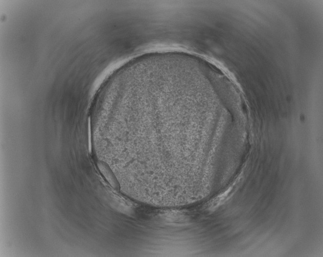 X0000073891175200609082115