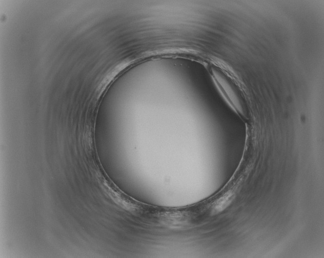 X0000073891177200609082115