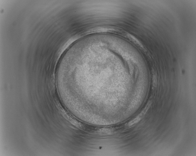 X0000073891178200609082115