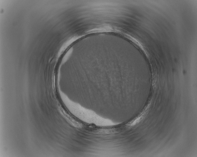 X0000073891179200609082115