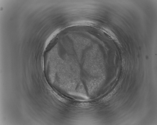 X0000073891180200609082115