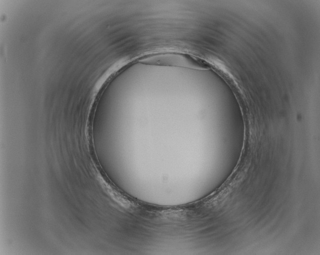 X0000073891181200609082115