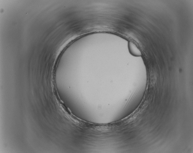 X0000073891182200609082115