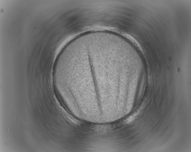 X0000073891183200609082115