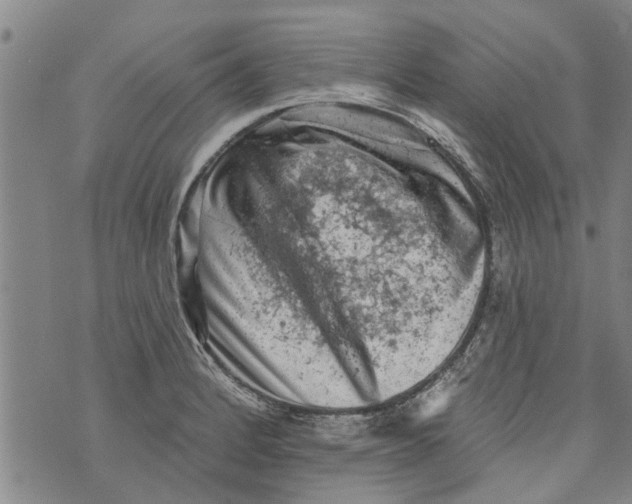 X0000073891184200609082115