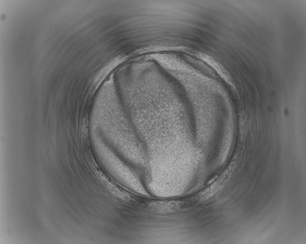 X0000073891185200609082115