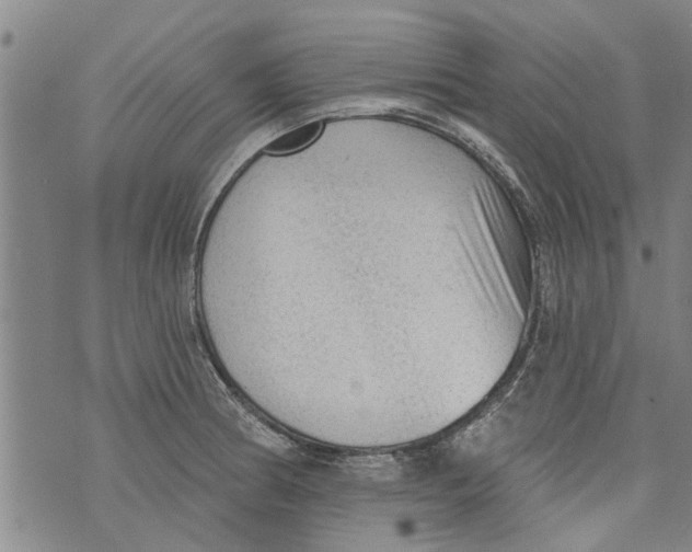 X0000073891186200609082115