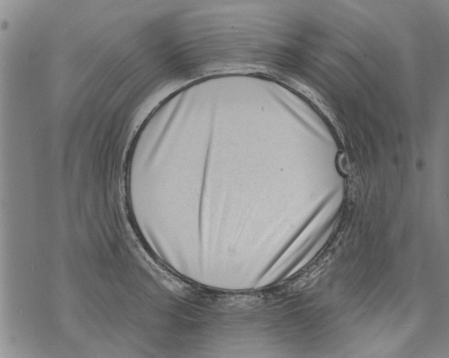 X0000073891187200609082115