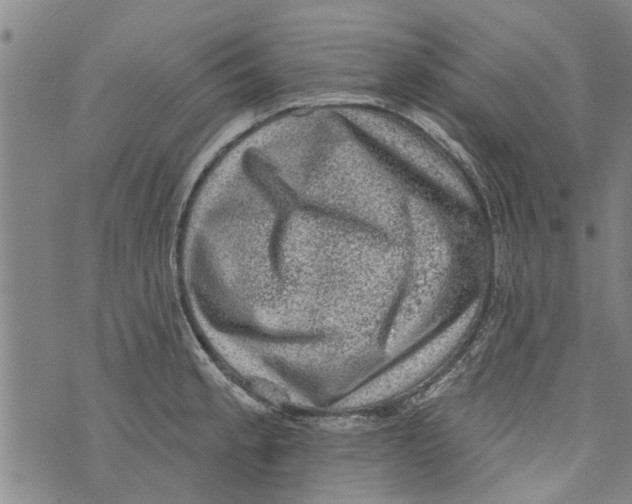 X0000073891189200609082115