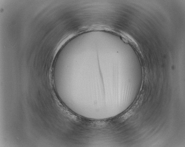 X0000073891190200609082115