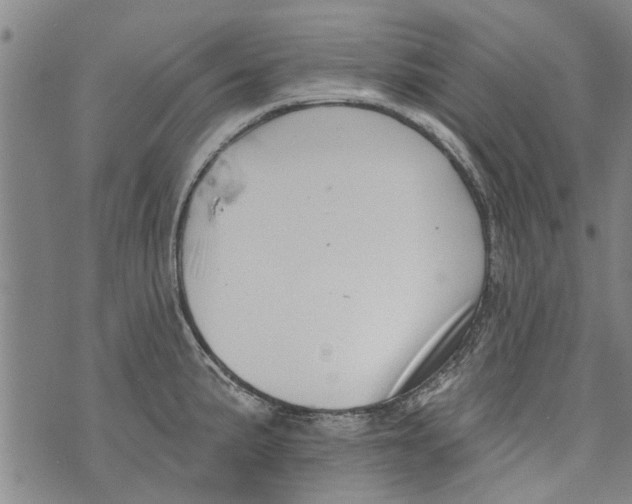 X0000073891191200609082115