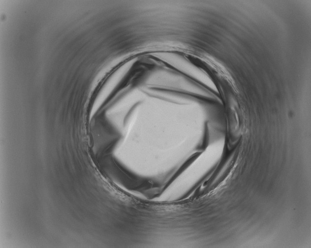 X0000073891192200609082115