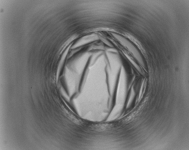 X0000073891193200609082115