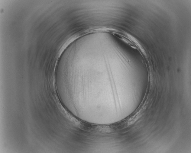 X0000073891194200609082115