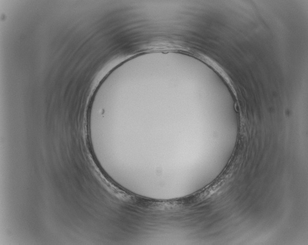 X0000073891195200609082115