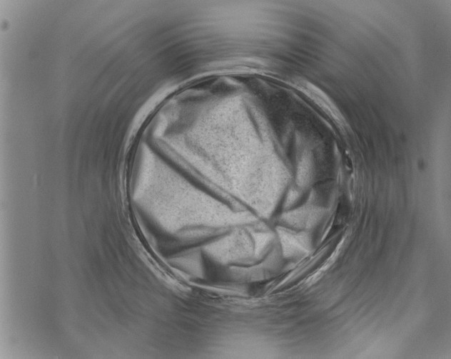 X0000073891196200609082115