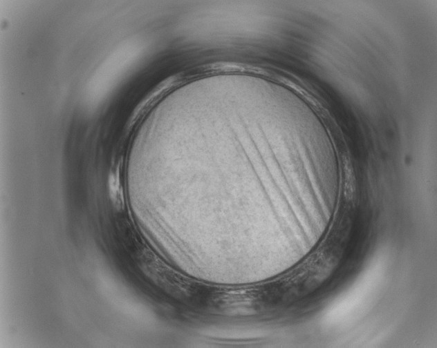 X0000073891198200609082115