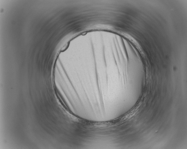 X0000073891199200609082115