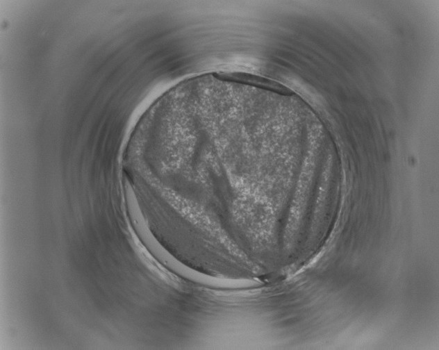 X0000073891200200609082115