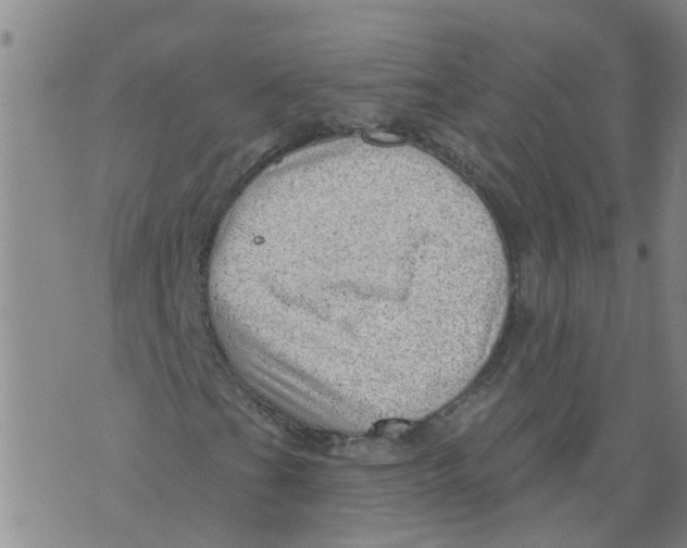 X0000073891201200609082114