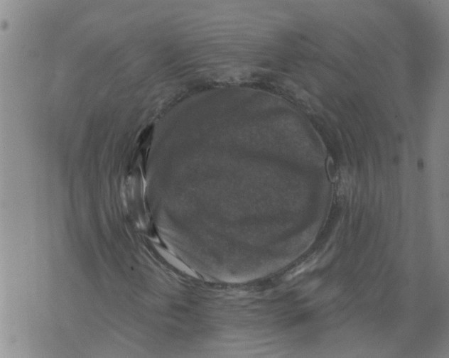 X0000073891202200609082114